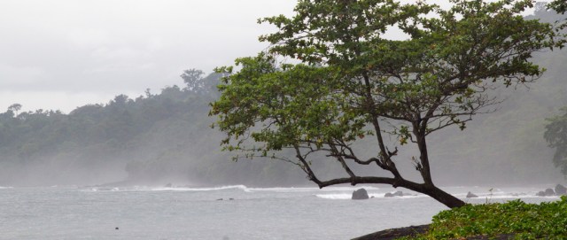 Beach.jpg image